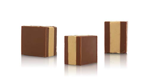 domori-il-cremino-classico-cioccolatini-gianduia-3kg-circa-350-pezzi image 8